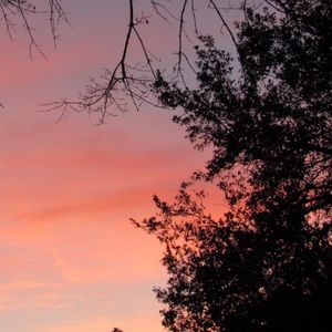 Meet your Posher, Ella